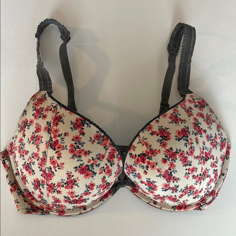 Floral Print Bra - Cream and Grey with Blue Red Floral Aerie Emma Push Up 34D